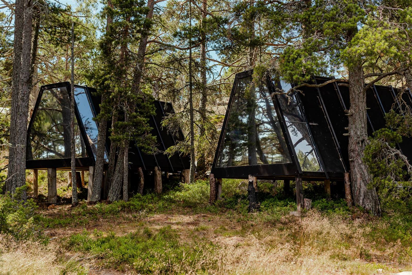 Kojorna i skogsbrynet